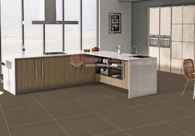 Gạch Ốp Lát APODIO 66434009